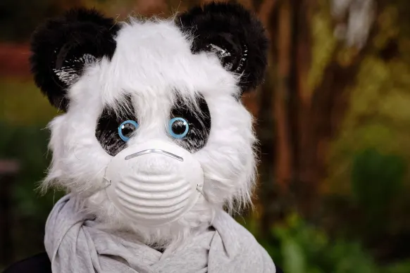 ΣΤΑΥ Καζίνο Υποστηριξη